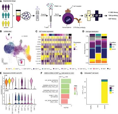 Dissecting CD8+ T cell pathology of severe SARS-CoV-2 infection by single-cell immunoprofiling